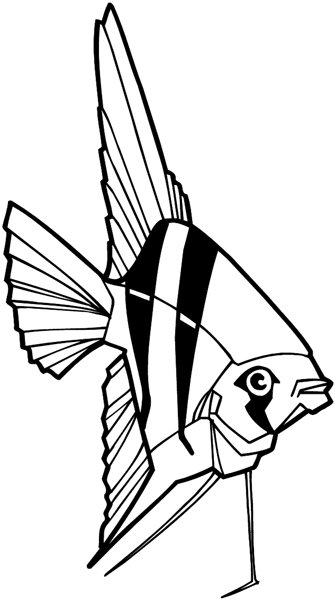 Angel fish vinyl sticker. Customize on line.     Animals Insects Fish 004-1309  
